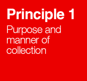 Principle 1