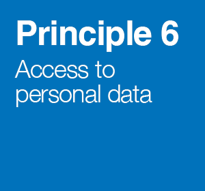 Principle 6
